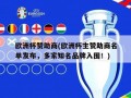 欧洲杯赞助商(欧洲杯主赞助商名单发布，多家知名品牌入围！)